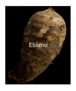 201411.pdf