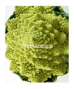 201412.pdf